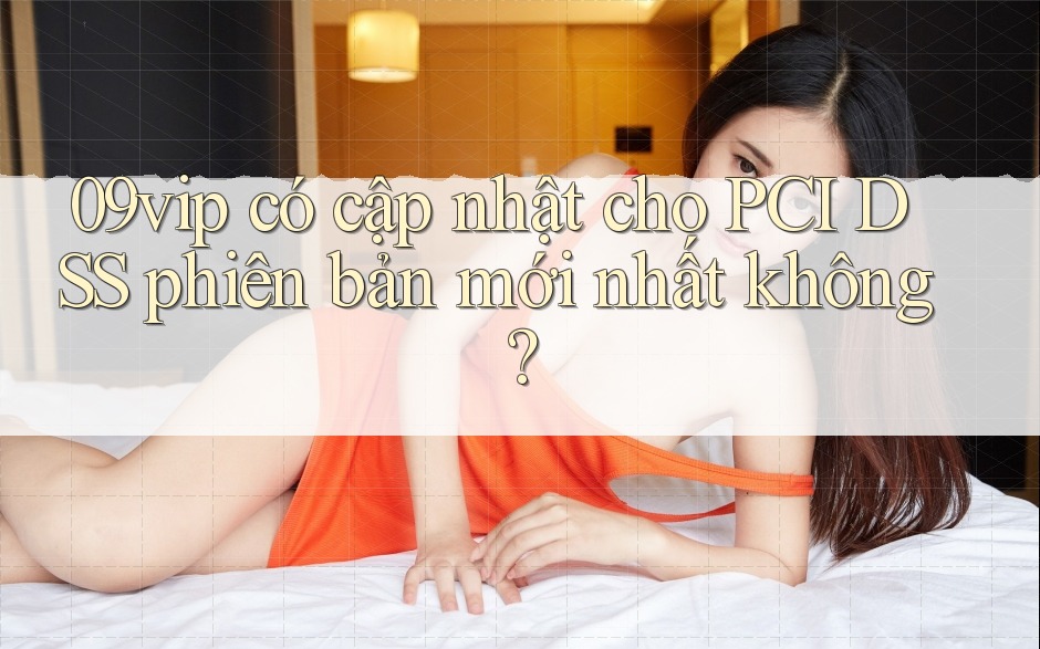 09vip có cập nhật cho PCI DSS phiên bản mới nhất không?