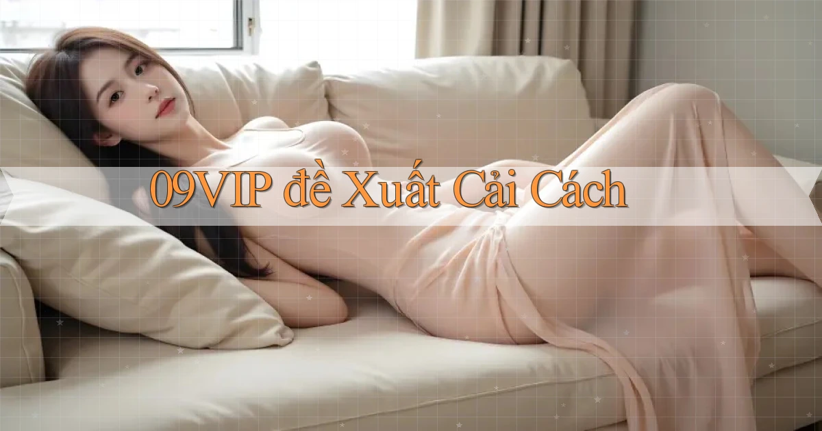 09vip  đề xuất cải cách