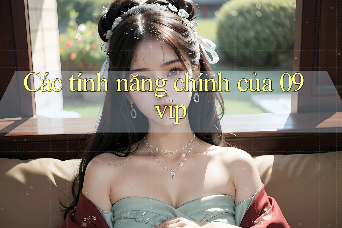 Các tính năng chính của 09vip