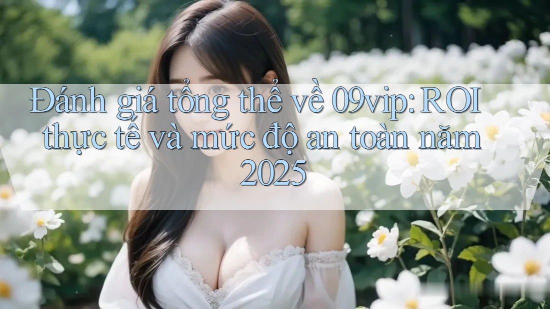 Đánh giá tổng thể về 09vip: ROI thực tế và mức độ an toàn năm 2025
