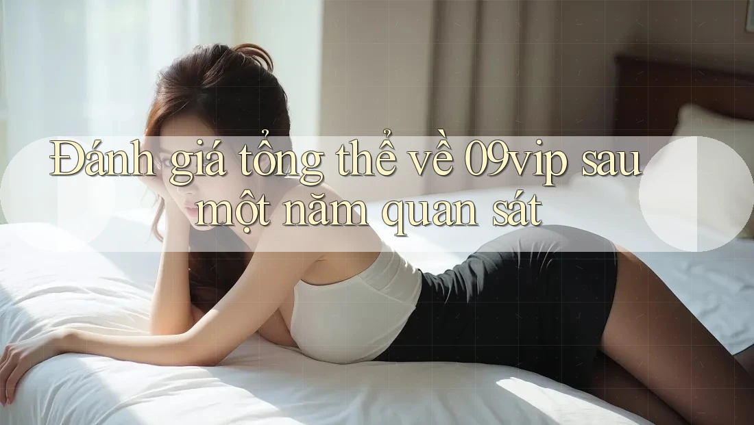 Đánh giá tổng thể về 09vip sau một năm quan sát Đánh giá tổng thể về 09vip sau một năm quan sát