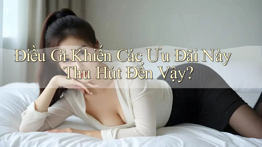 Điều Gì Khiến Các Ưu Đãi Này Thu Hút Đến Vậy?