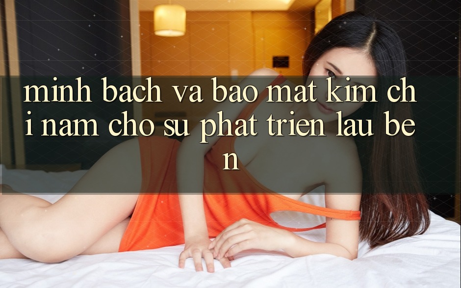 Minh bạch Và Bảo Mật - Kim Chỉ Nam Cho Sự Phát Triển Lâu bền