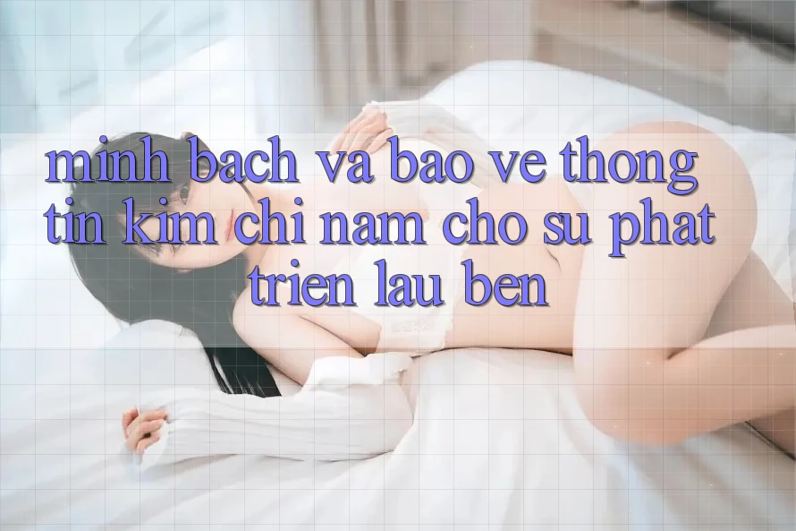 Minh bạch Và Bảo vệ thông tin - Kim Chỉ Nam Cho Sự Phát Triển Lâu bền