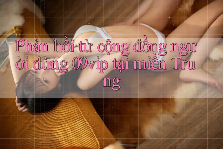 Phản hồi từ cộng đồng người dùng 09vip tại miền Trung Phản hồi từ cộng đồng người dùng 09vip tại miền Trung