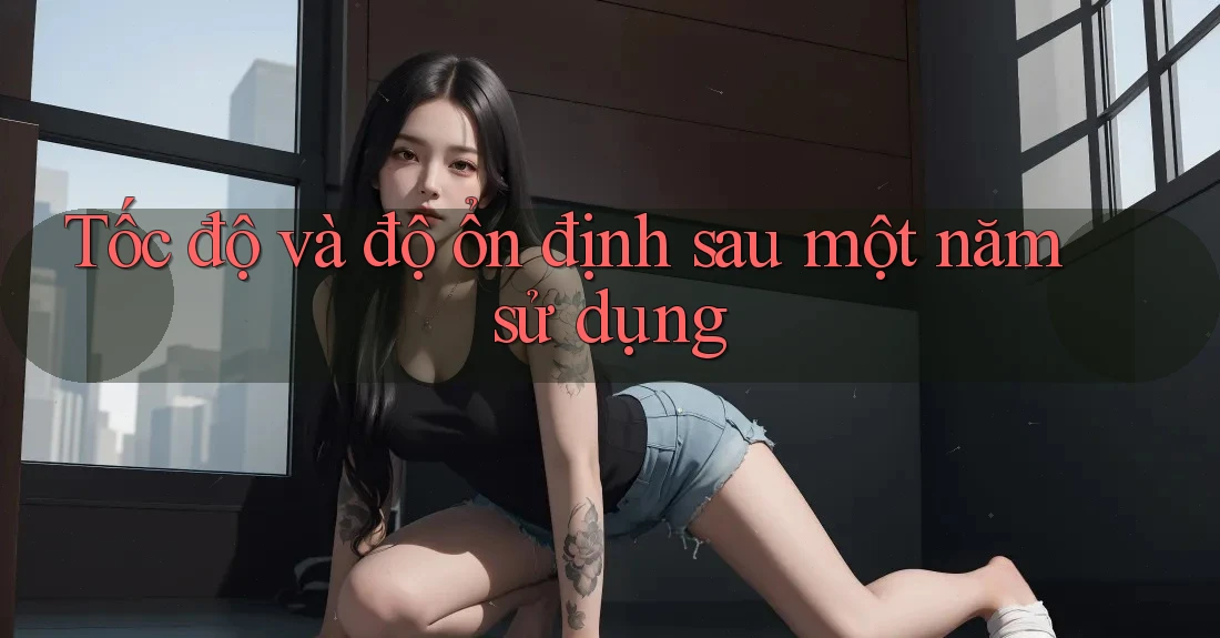 Tốc độ và độ ổn định sau một năm sử dụng Tốc độ và độ ổn định sau một năm sử dụng